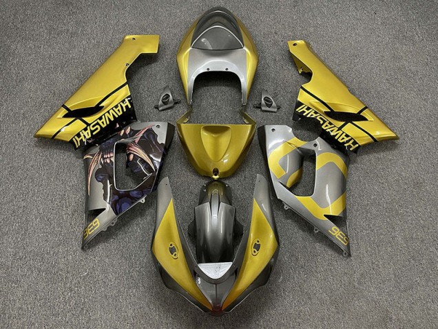 2005-2006 Gold and Silver Kawasaki ZX6R Fairings Canada